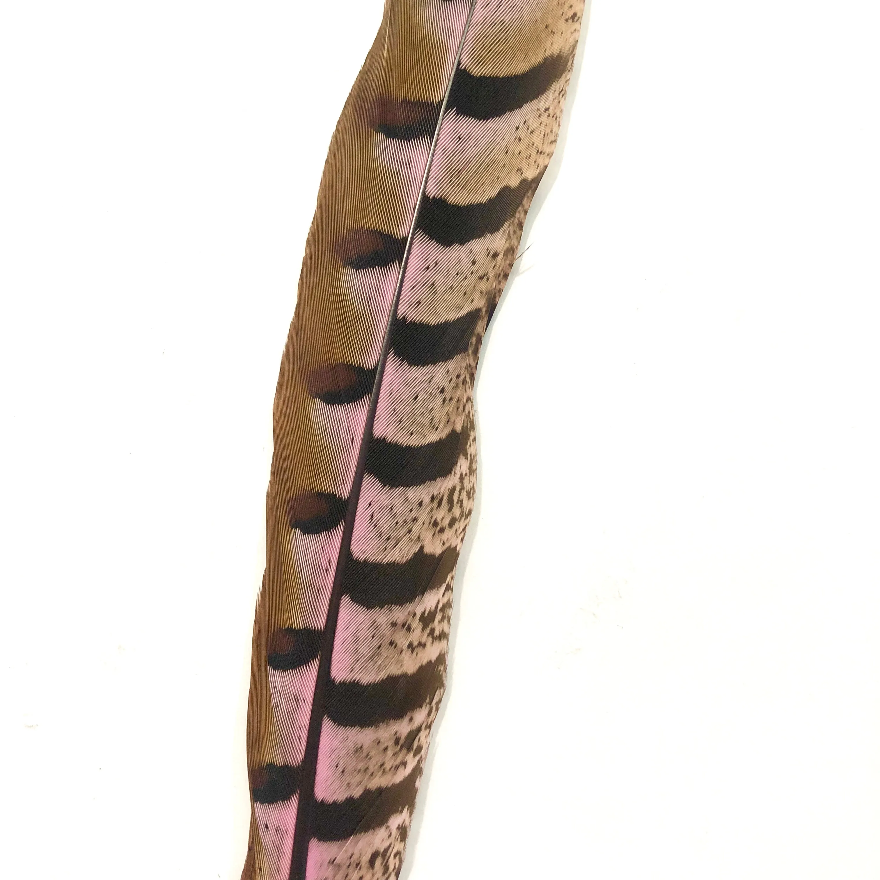 12" to 14" Reeves Pheasant Tail Feather - Pink ((SECONDS))