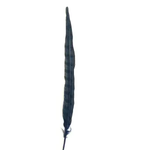 18" to 20" Reeves Pheasant Tail Feather - Navy ((SECONDS))