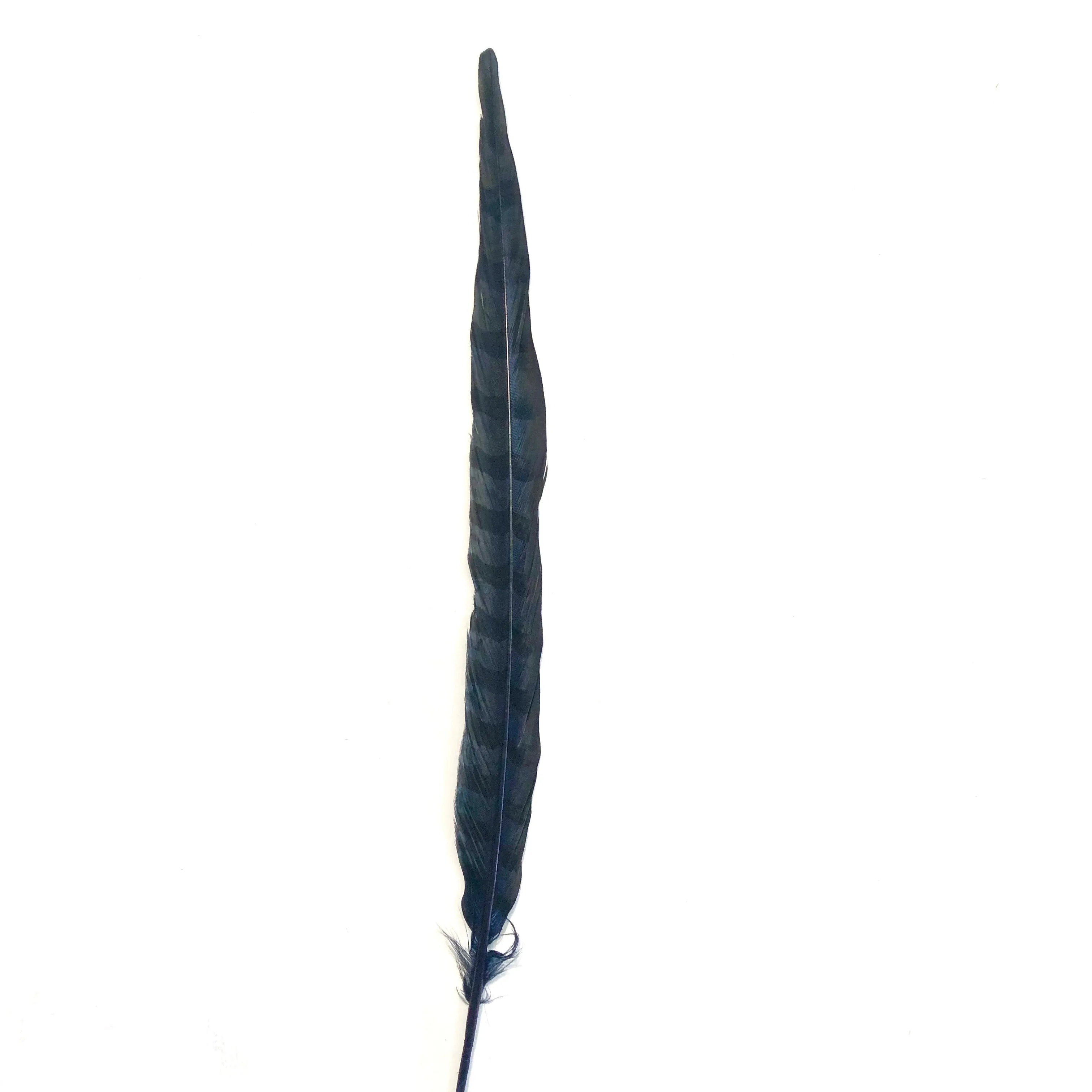 18" to 20" Reeves Pheasant Tail Feather - Navy ((SECONDS))