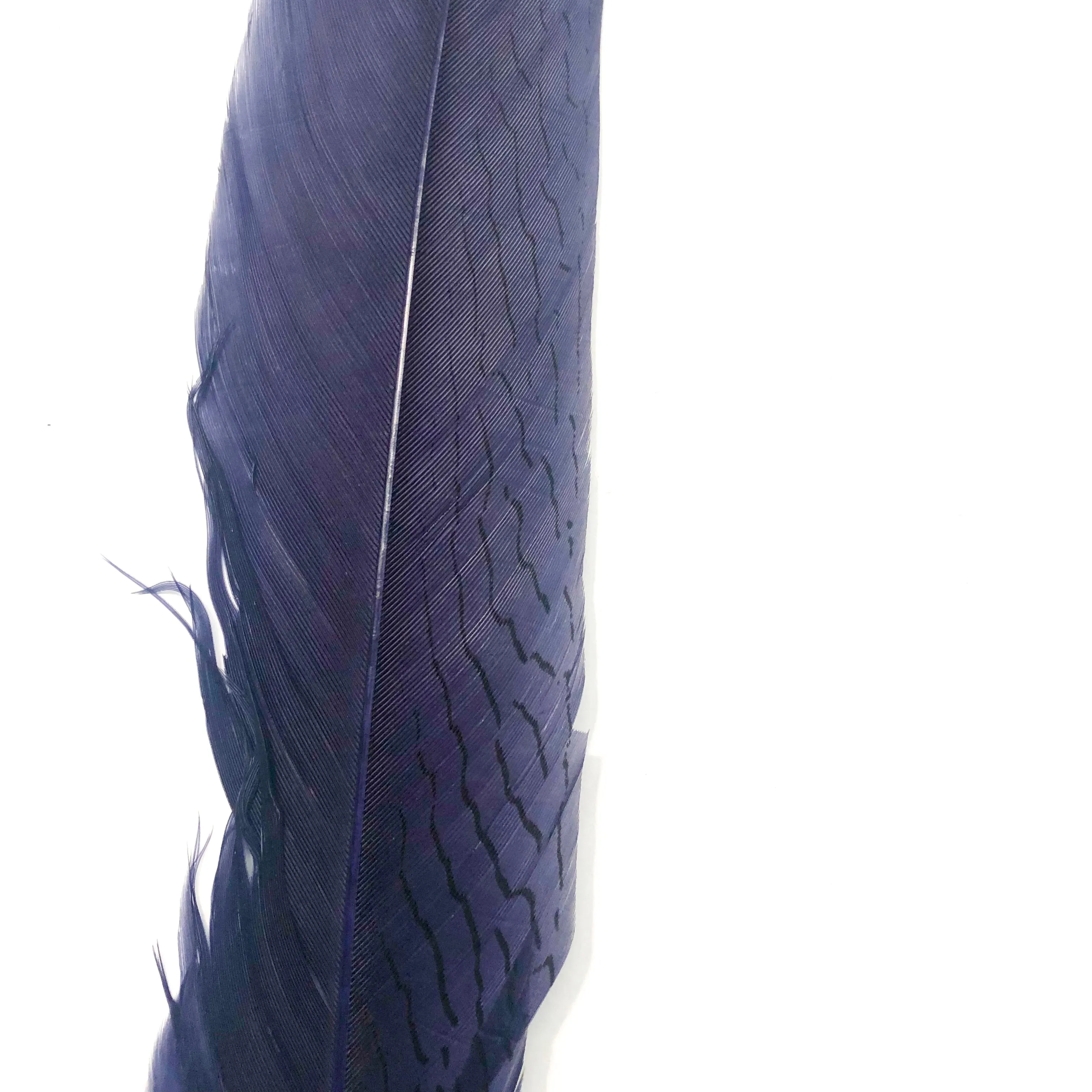 20" To 30" Silver Pheasant Tail Feather - Dusty Navy Blue ((SECONDS))