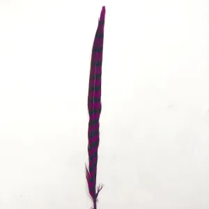 30" to 32" Reeves Pheasant Tail Feather - Cerise ((SECONDS))