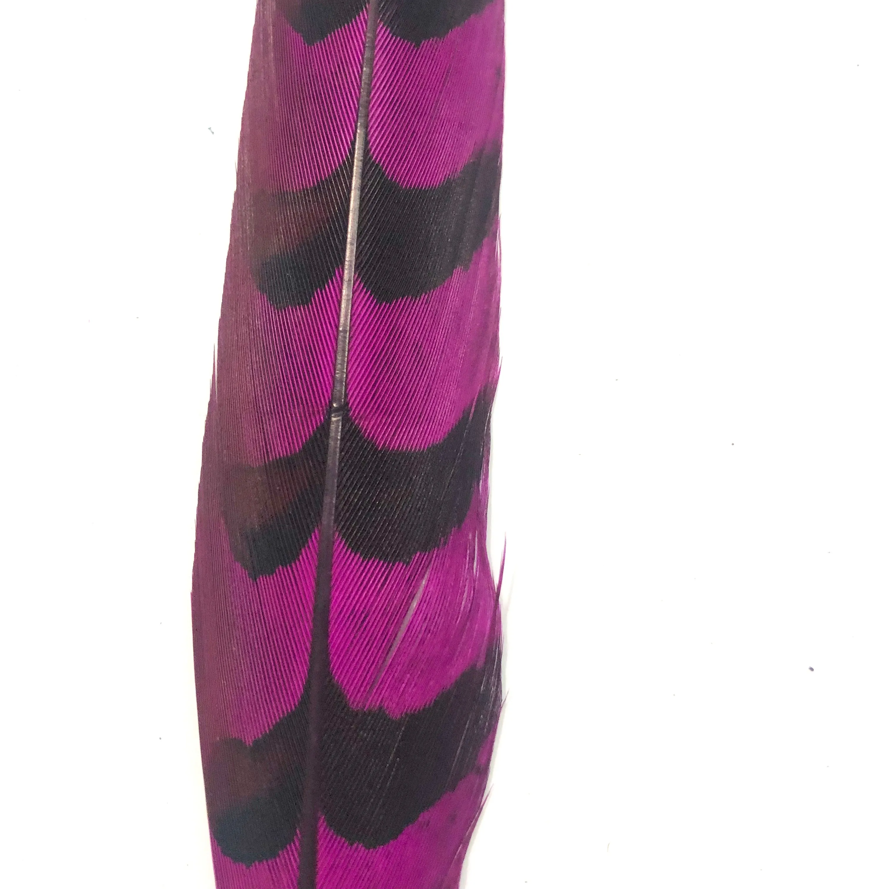 30" to 32" Reeves Pheasant Tail Feather - Cerise ((SECONDS))