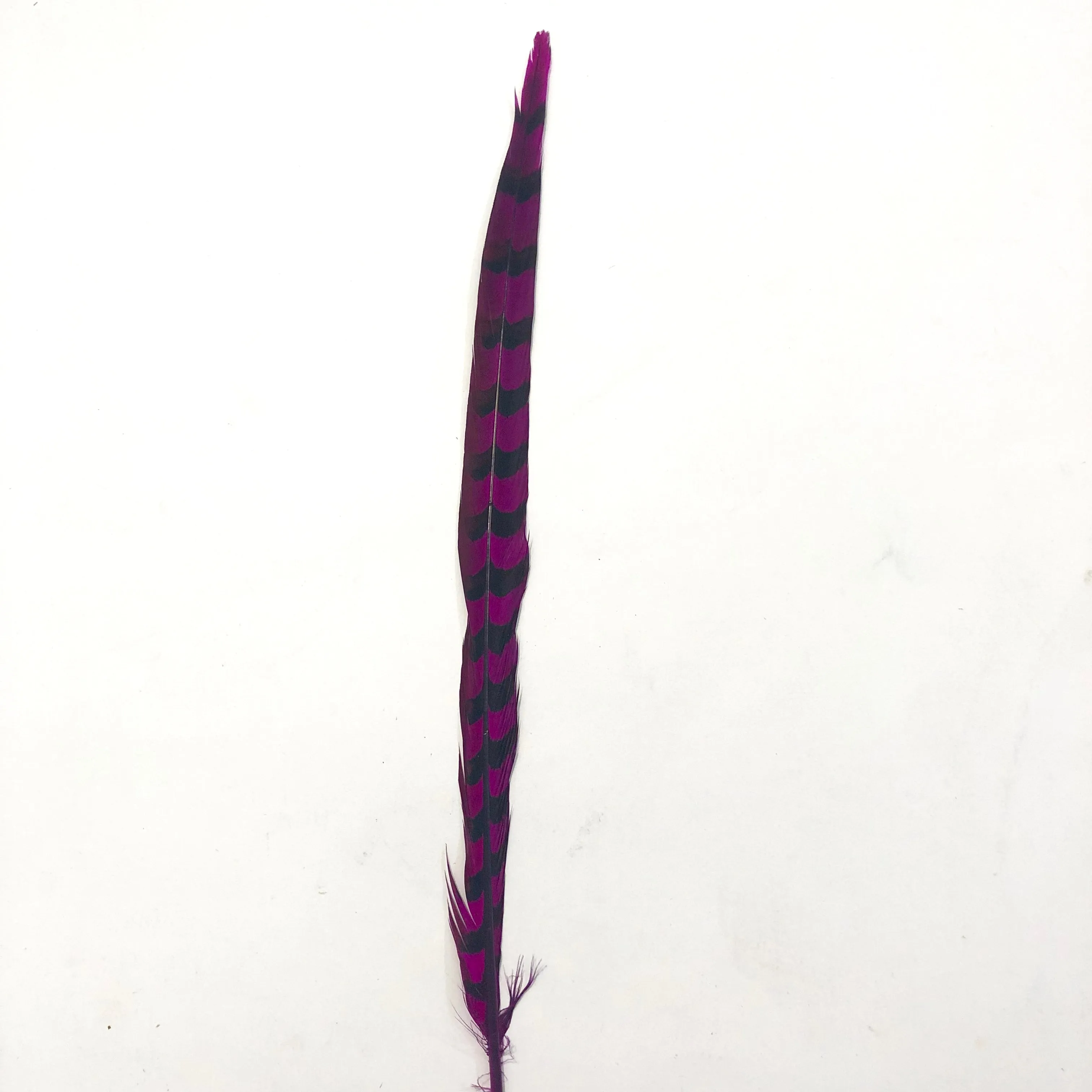30" to 32" Reeves Pheasant Tail Feather - Cerise ((SECONDS))