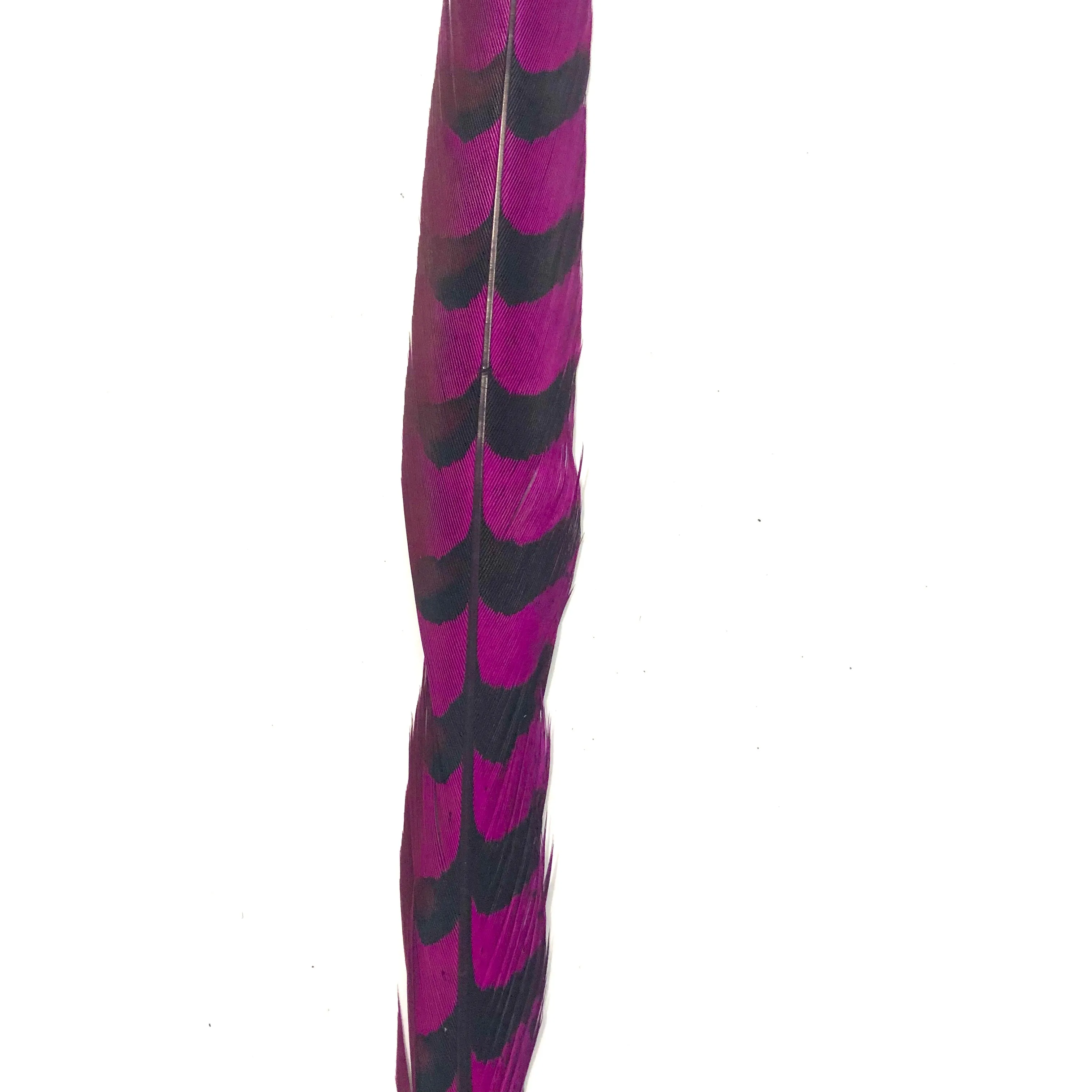 30" to 32" Reeves Pheasant Tail Feather - Cerise ((SECONDS))