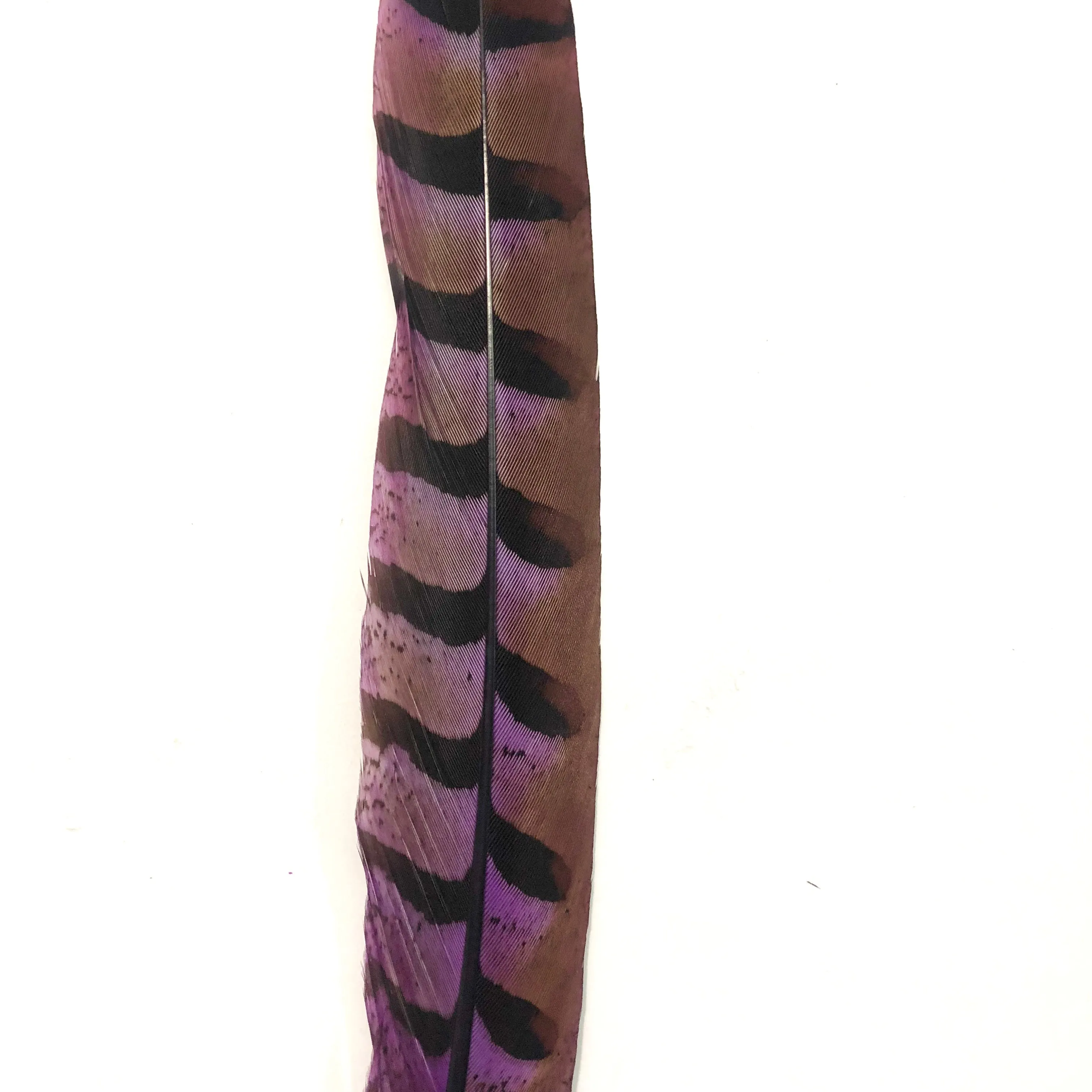 8" to 10" Reeves Pheasant Tail Feather - Purple