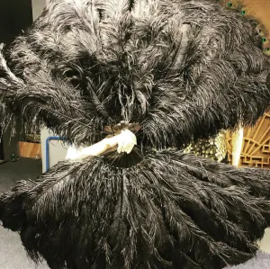 Black  Triple layers ostrich Feather Fan 35"x 63"