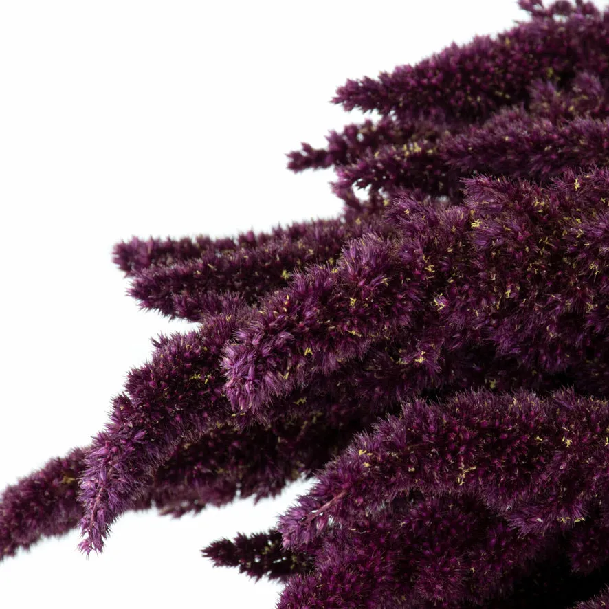 Dried Amaranthus Bunch