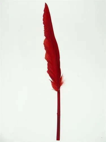 Duck Feather Decorative, 14-inch, 10-count