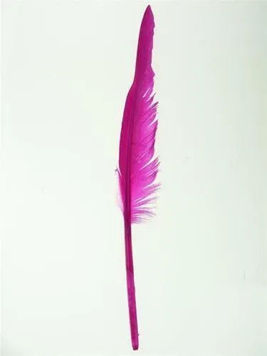 Duck Feather Decorative, 14-inch, 10-count