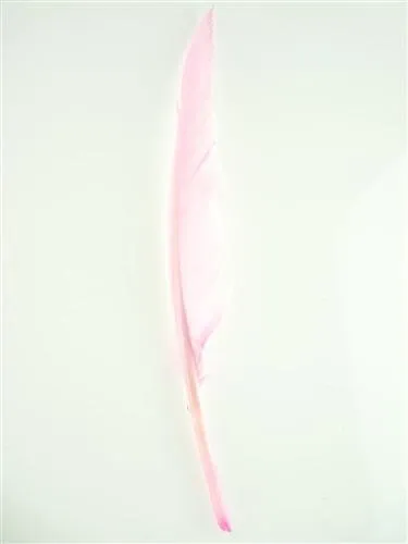 Duck Feather Decorative, 14-inch, 10-count
