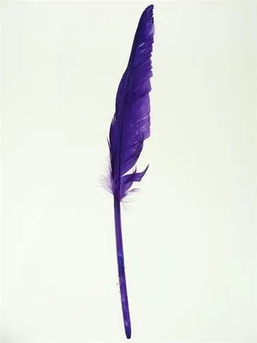 Duck Feather Decorative, 14-inch, 10-count