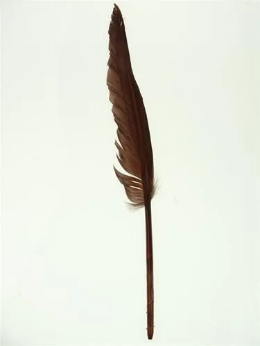 Duck Feather Decorative, 14-inch, 10-count