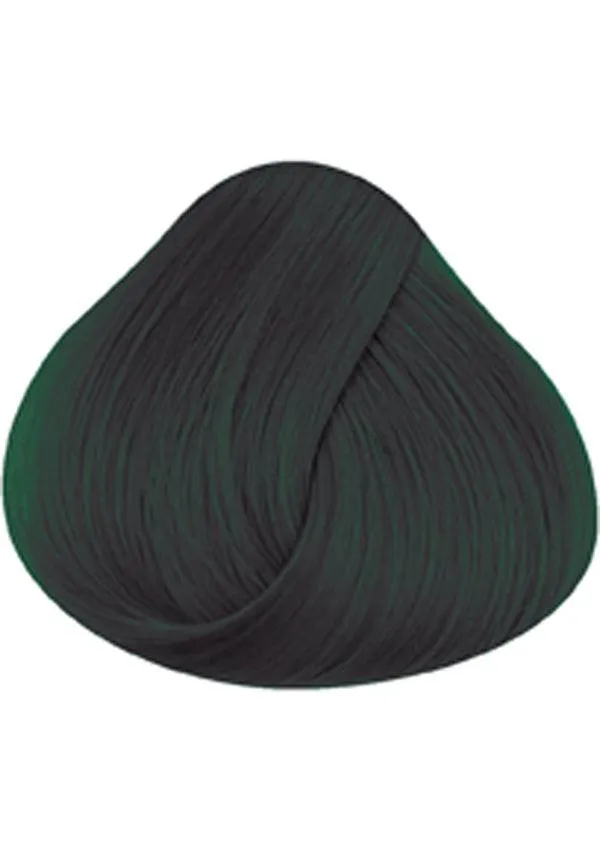 Ebony | HAIR COLOUR [100ML]
