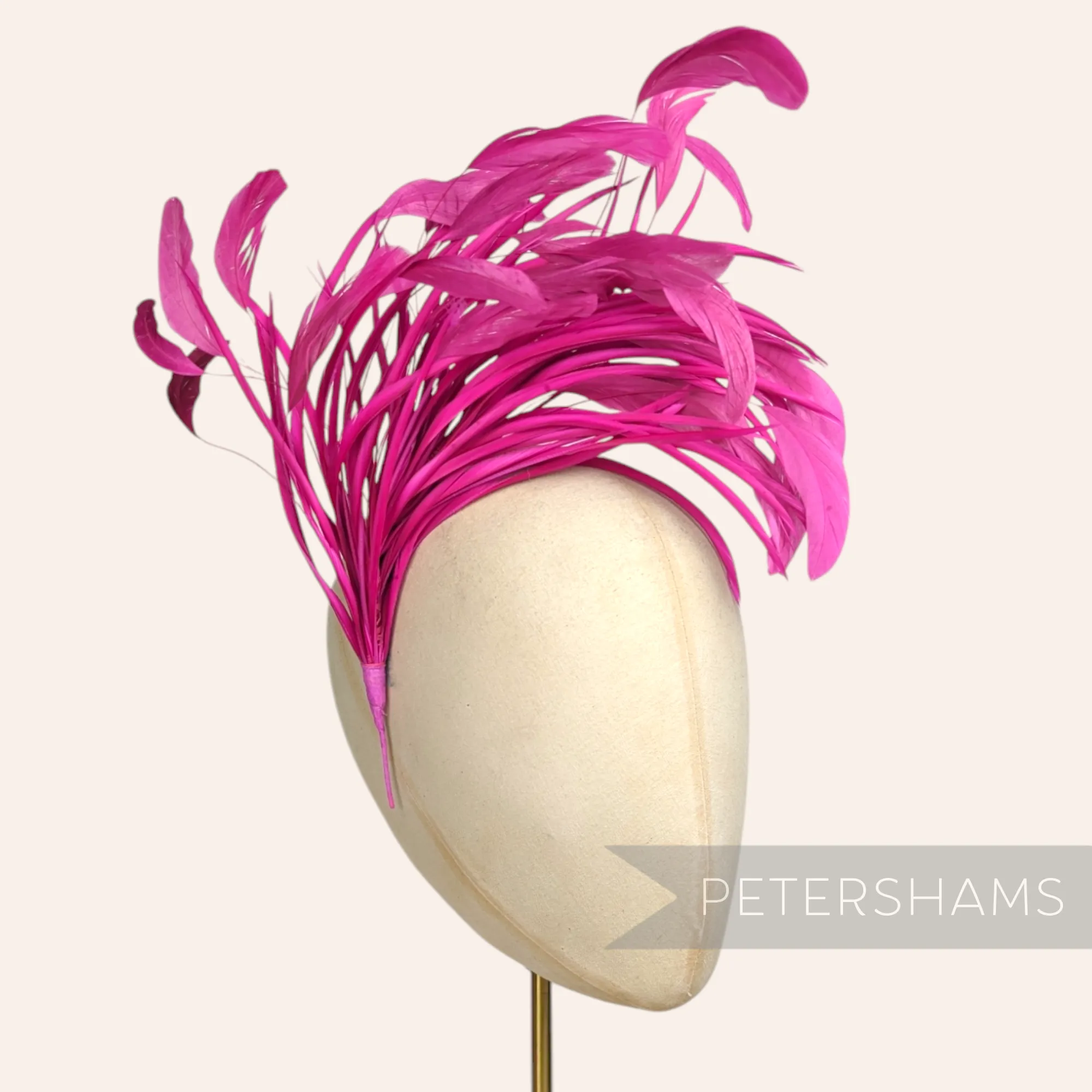 Extra Large Stripped Coque & Goose Biot Feather Hat Mount