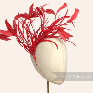 Extra Large Stripped Coque & Goose Biot Feather Hat Mount