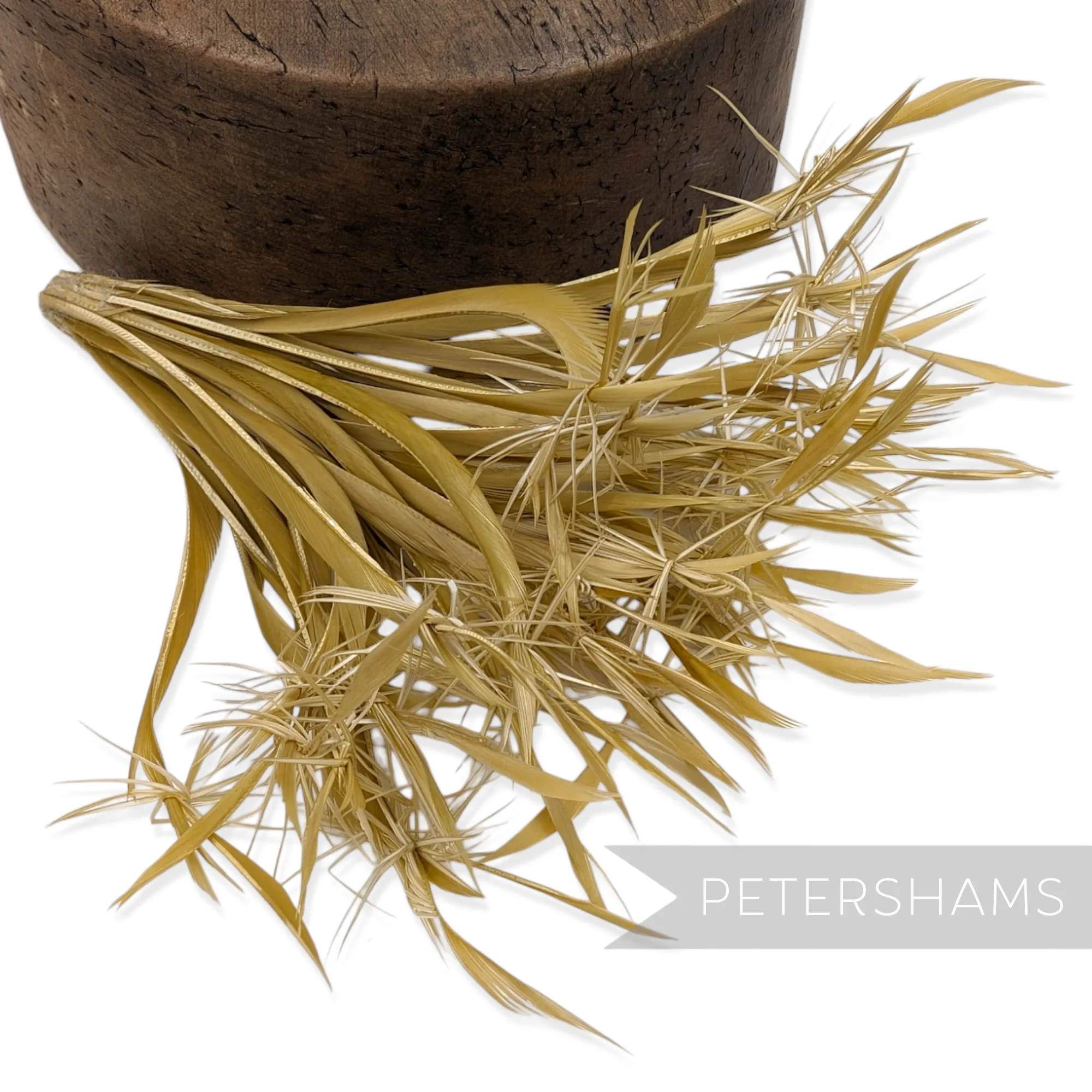 'Firework' Goose Biot Feather Mount