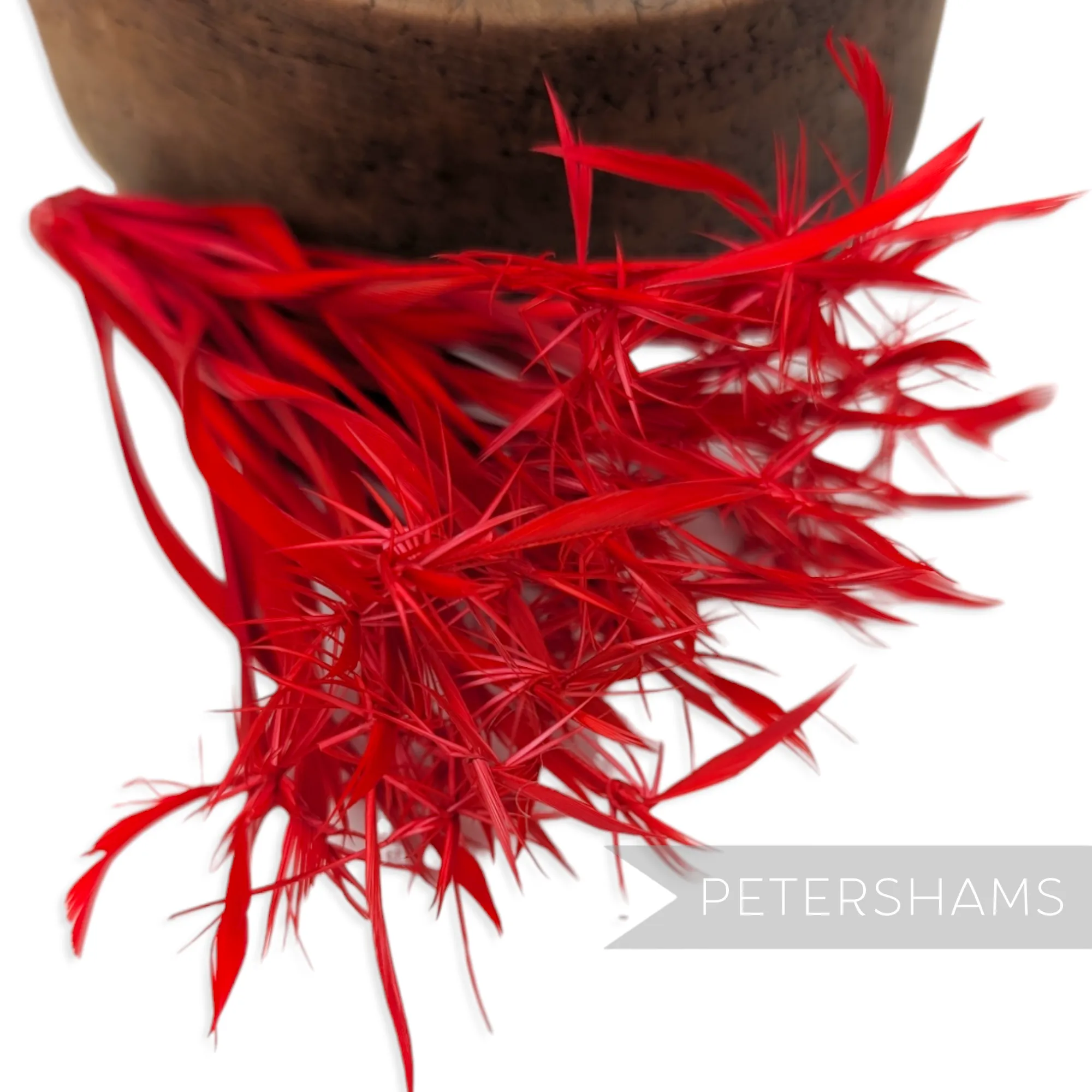 'Firework' Goose Biot Feather Mount