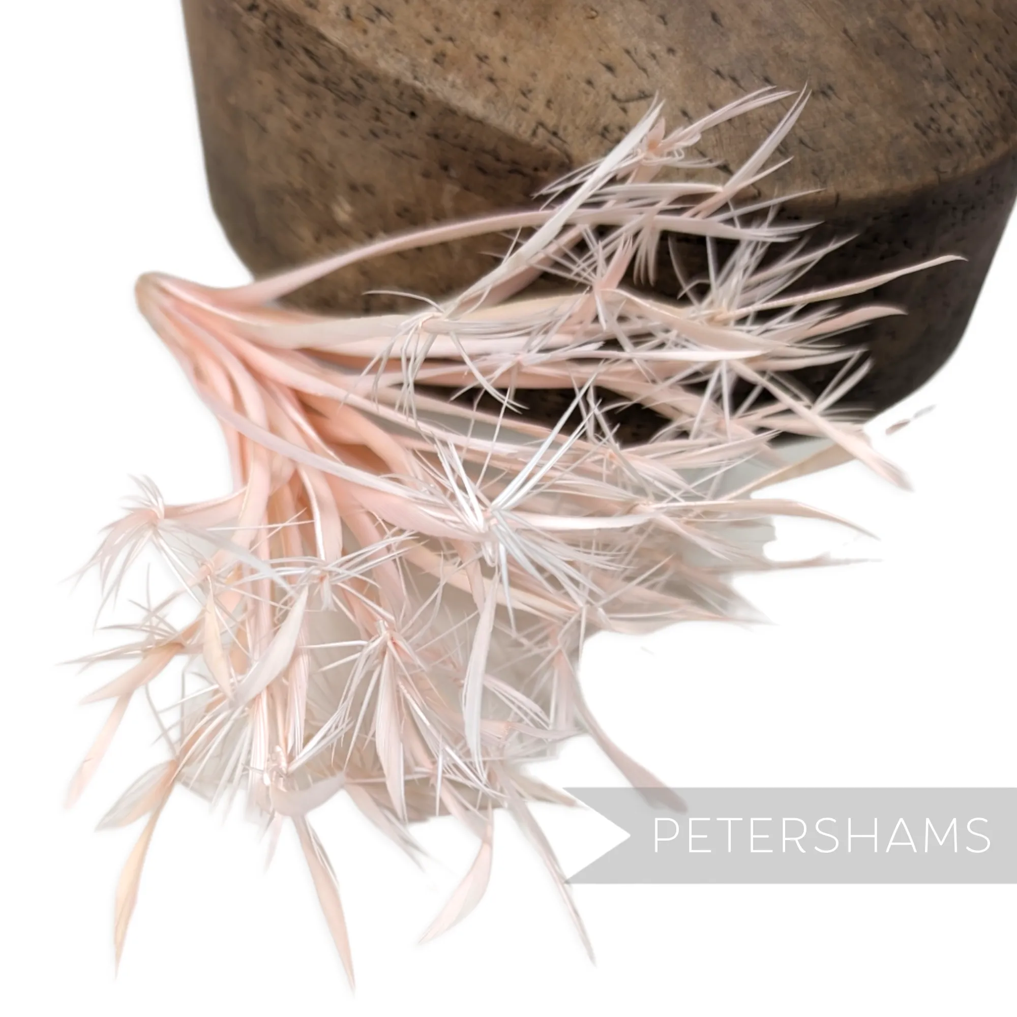 'Firework' Goose Biot Feather Mount