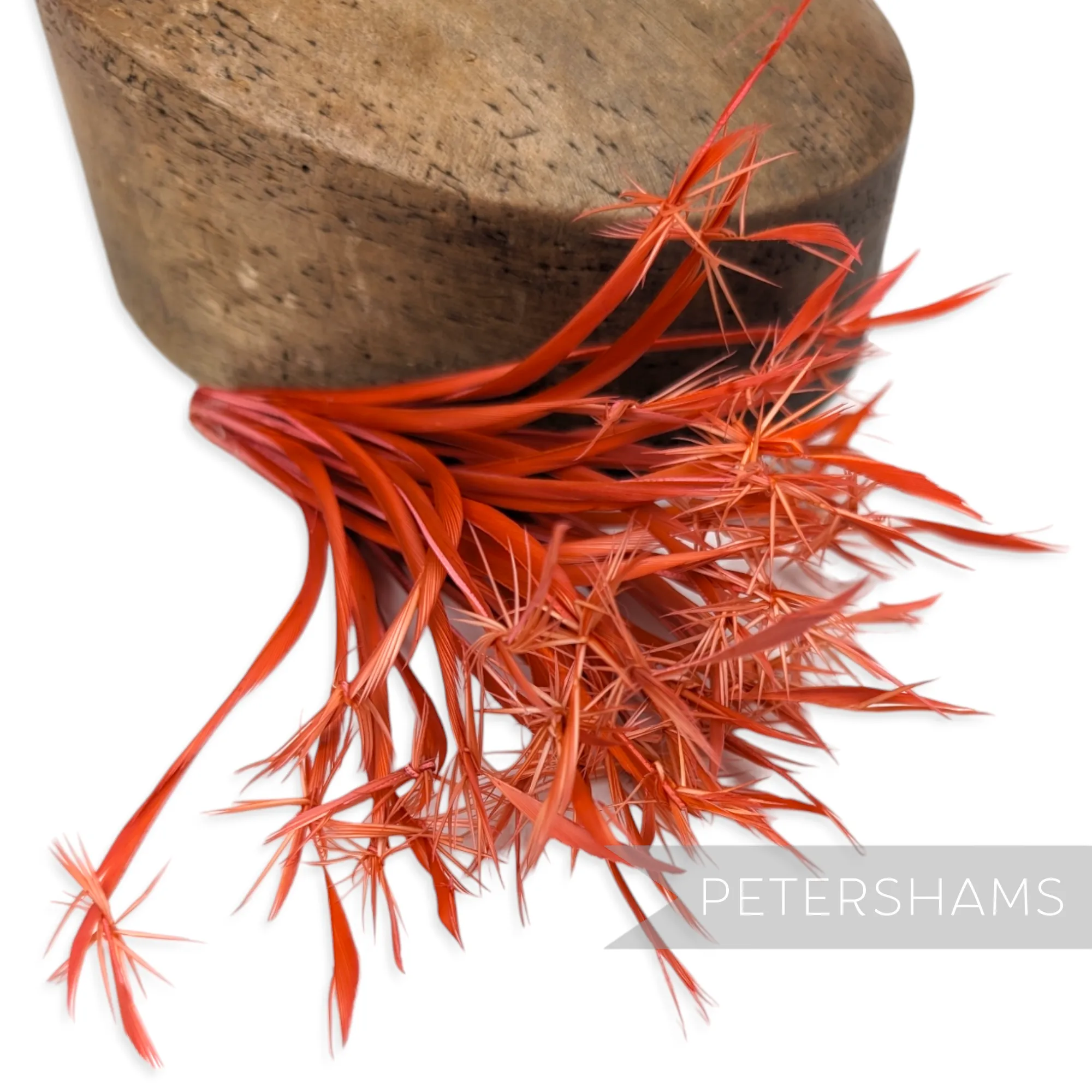 'Firework' Goose Biot Feather Mount