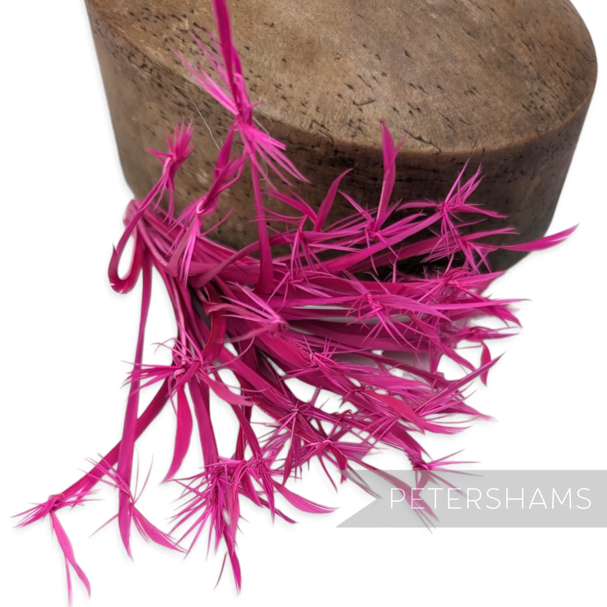 'Firework' Goose Biot Feather Mount