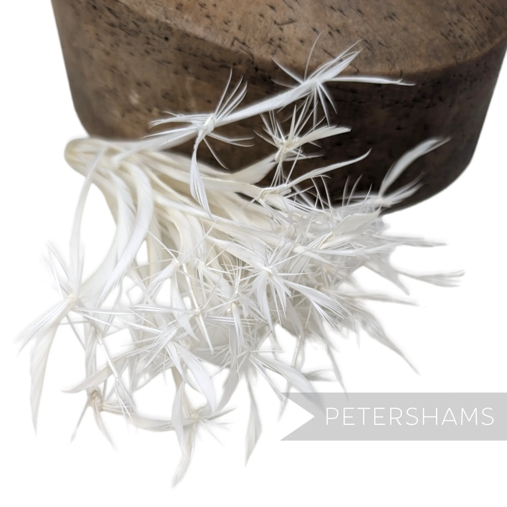 'Firework' Goose Biot Feather Mount