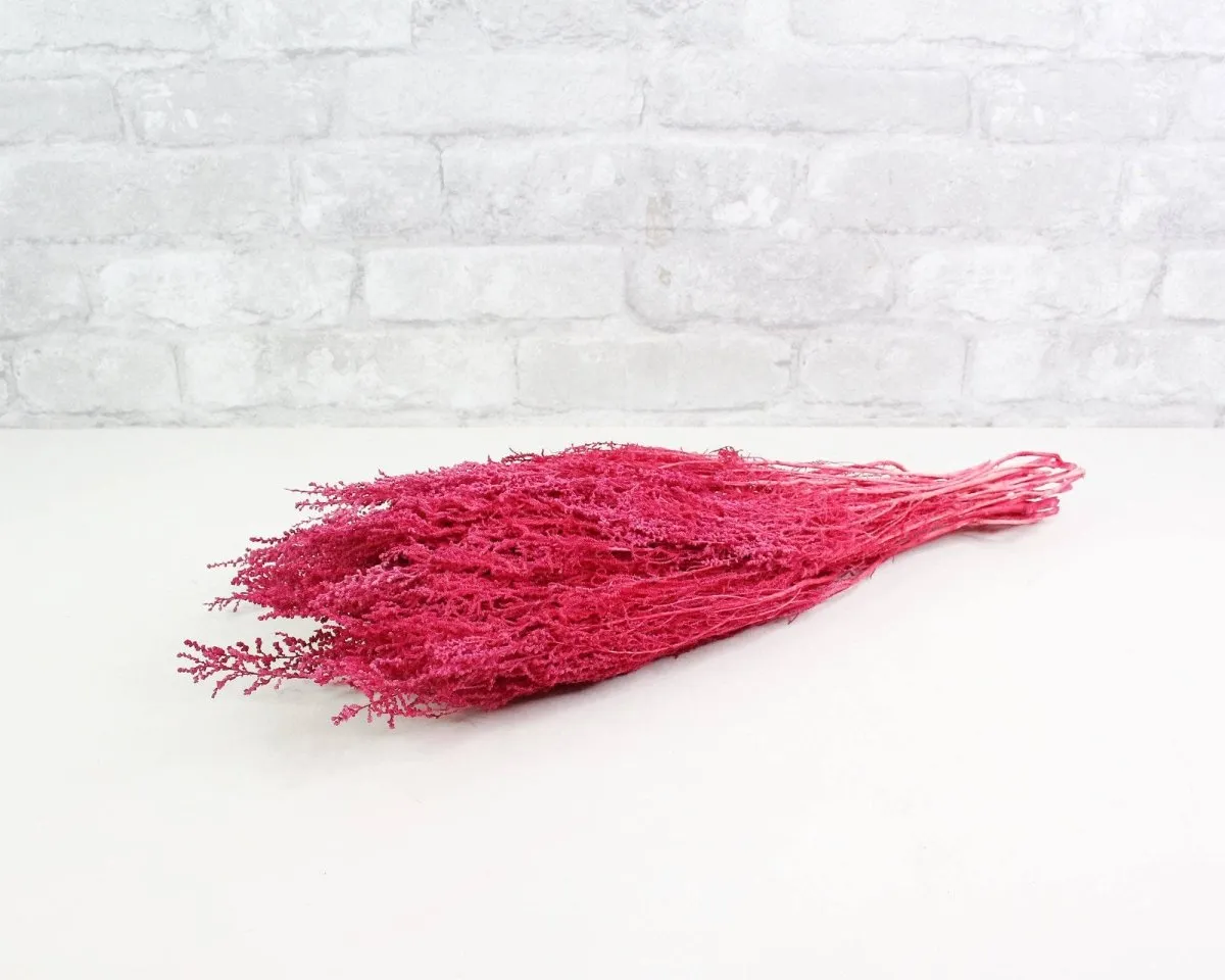 Stoebe - Raspberry