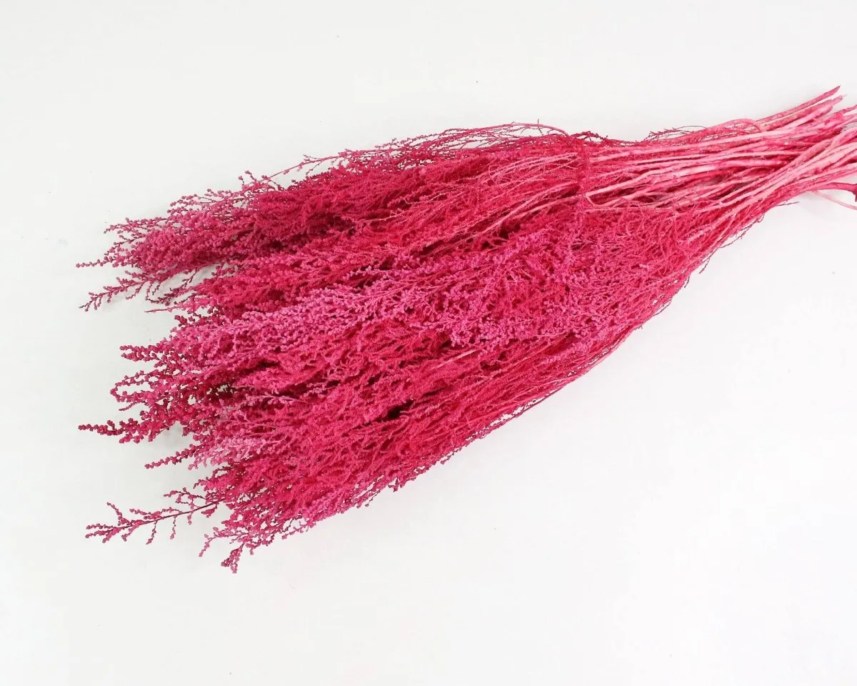 Stoebe - Raspberry