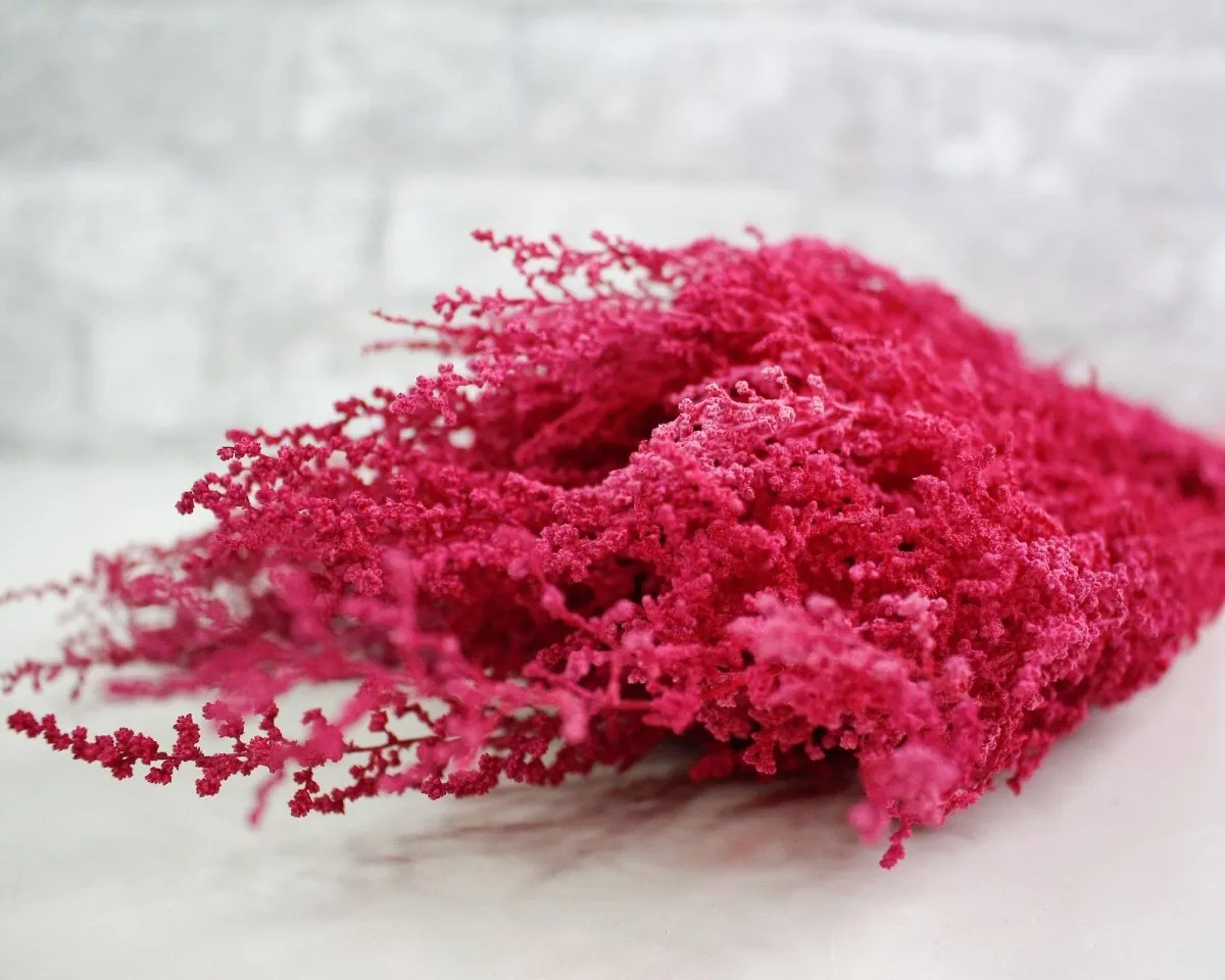 Stoebe - Raspberry