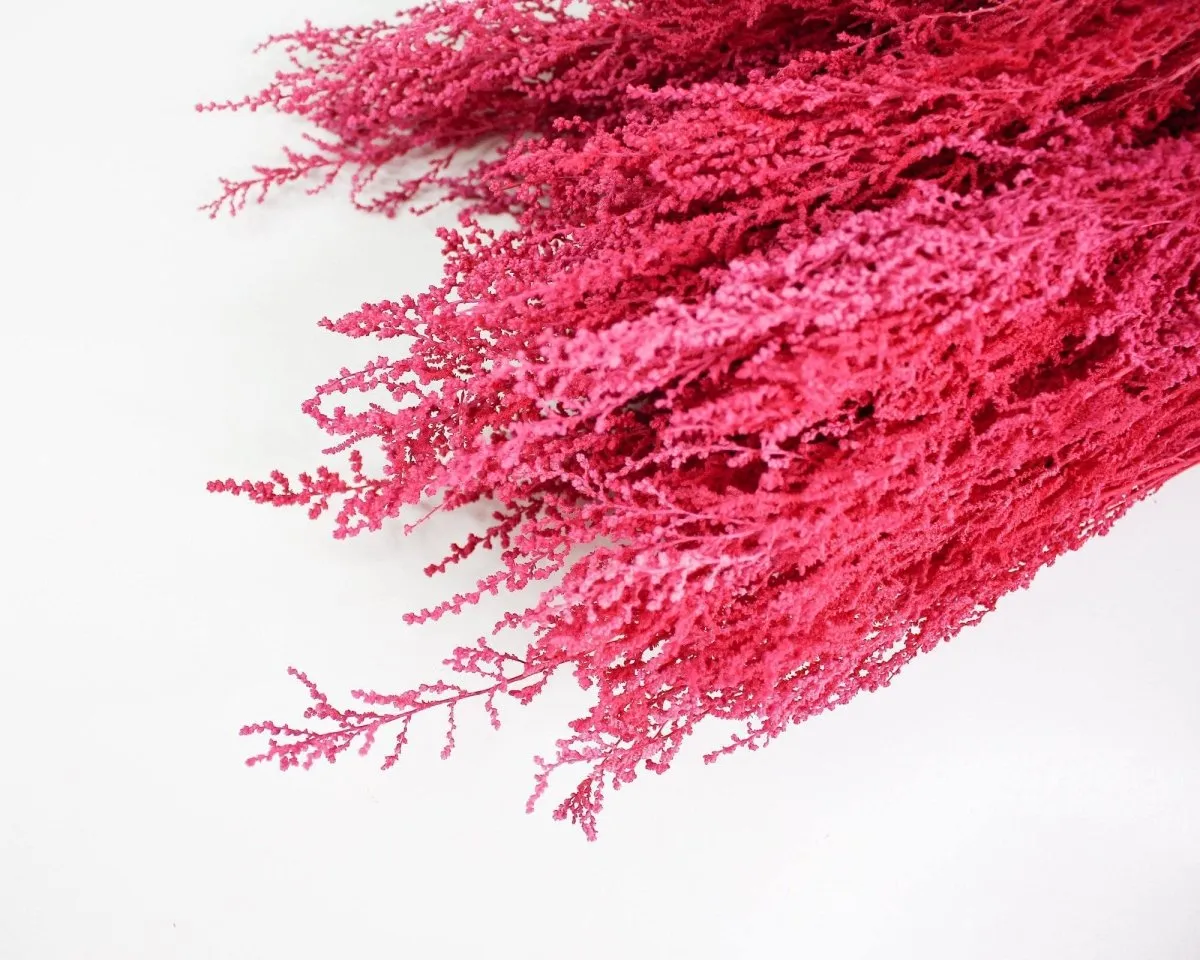 Stoebe - Raspberry