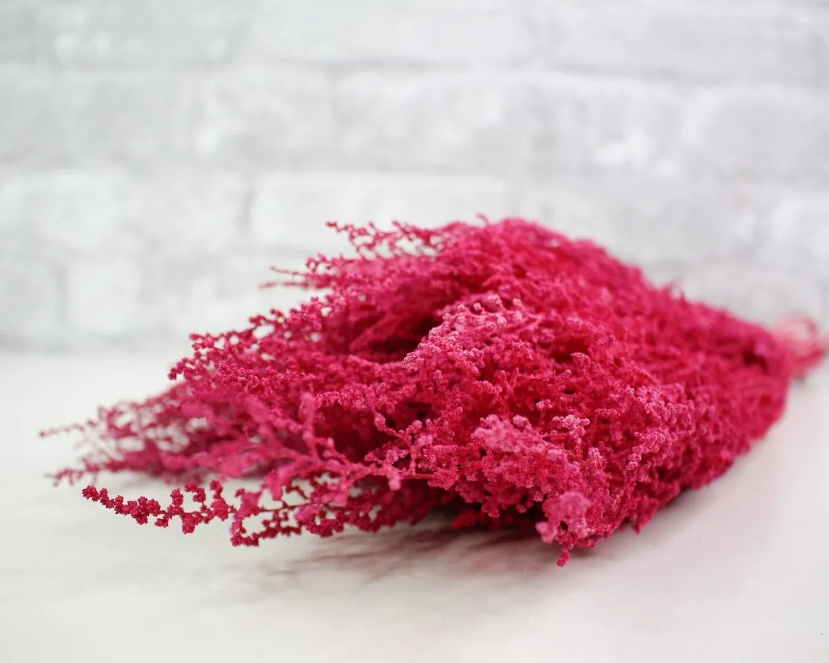 Stoebe - Raspberry