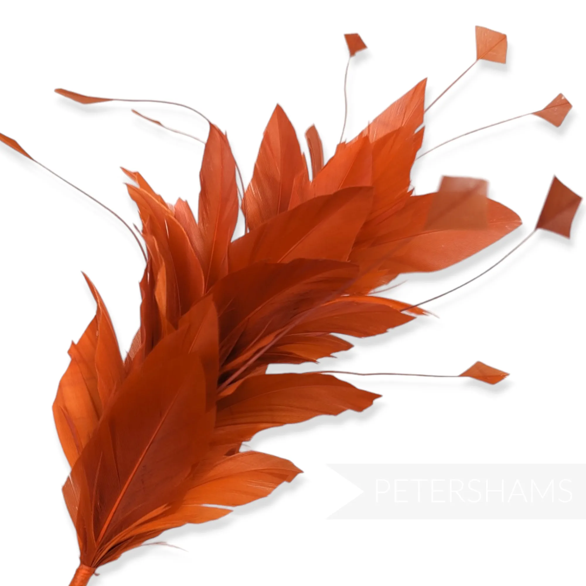 Stripped Diamond Coque & Goose Feather Wired Hat Mount